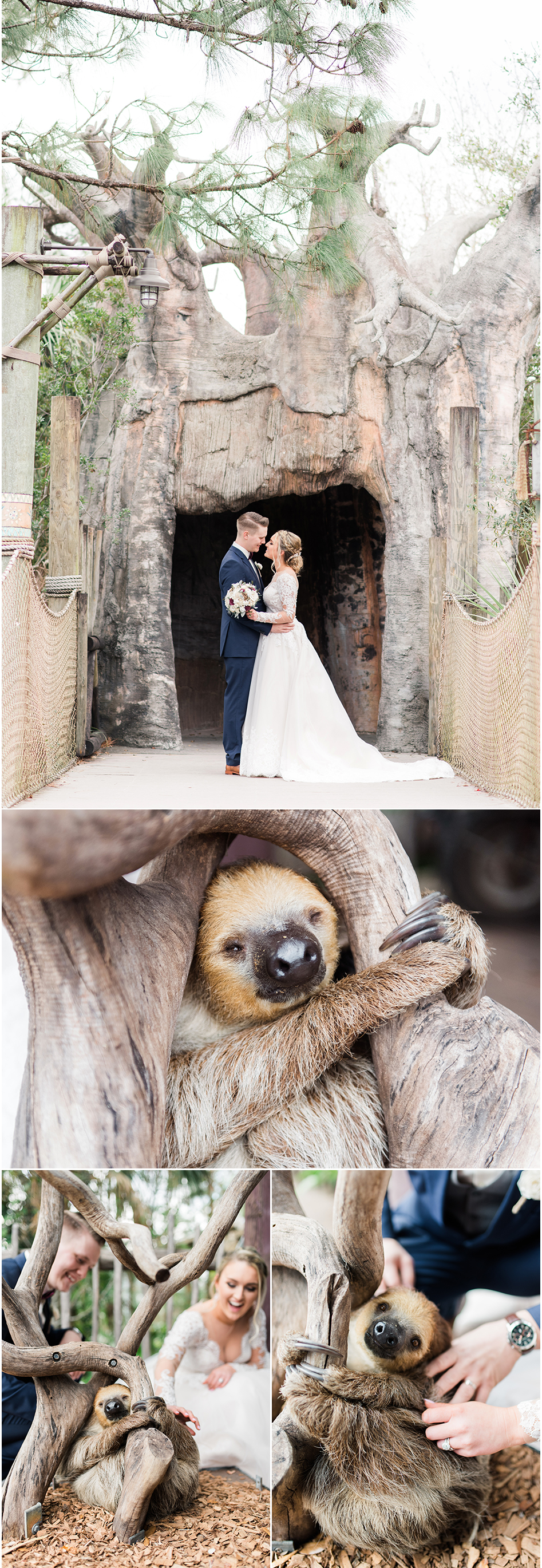 Brevard Zoo wedding