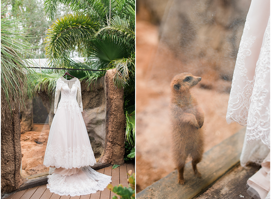 Brevard Zoo wedding